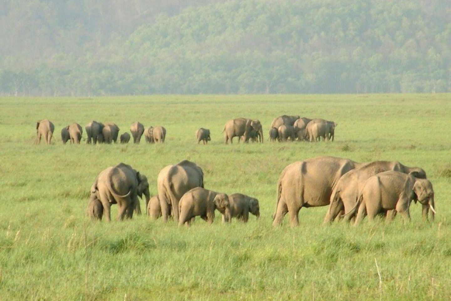 Rajaji National Park